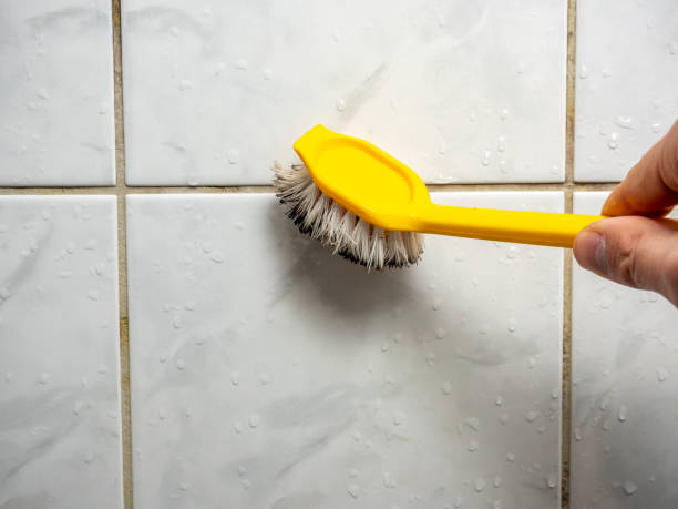 Best Office Mold Removal Services  in East Syracuse, NY
