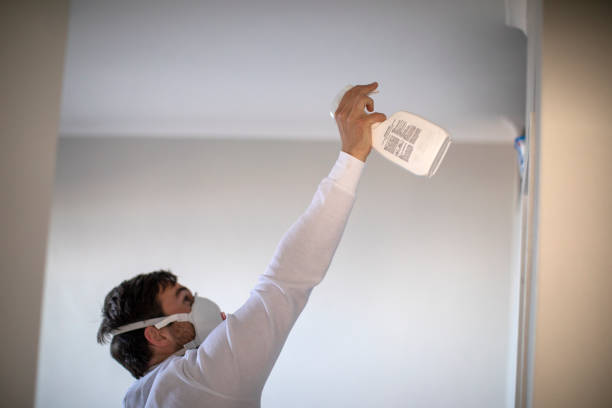 Best Residential Mold Removal  in East Syracuse, NY