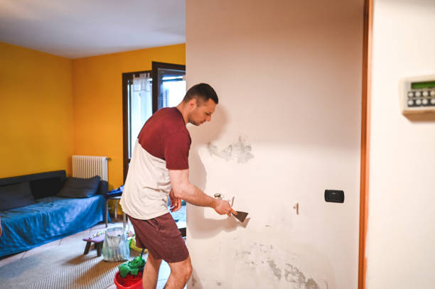 Best Attic Mold Removal  in East Syracuse, NY